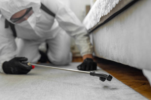 Professional Bed Bug Control technician working in Browns Mills, NJ