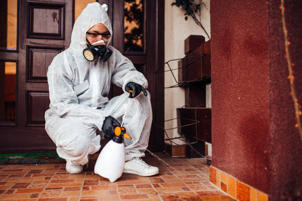 Reliable Bed Bug Control contractor in Browns Mills, NJ by Nex Pest Control