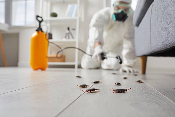 Trusted Cockroach Control service in Browns Mills, NJ - Nex Pest Control